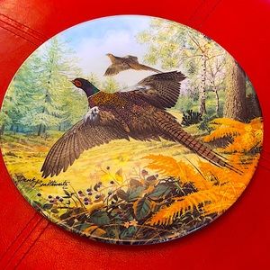 Royal Grafton vintage fine bone China decorative plate